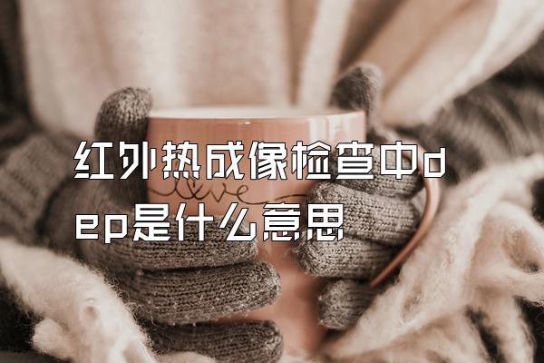 红外热成像检查中dep是什么意思