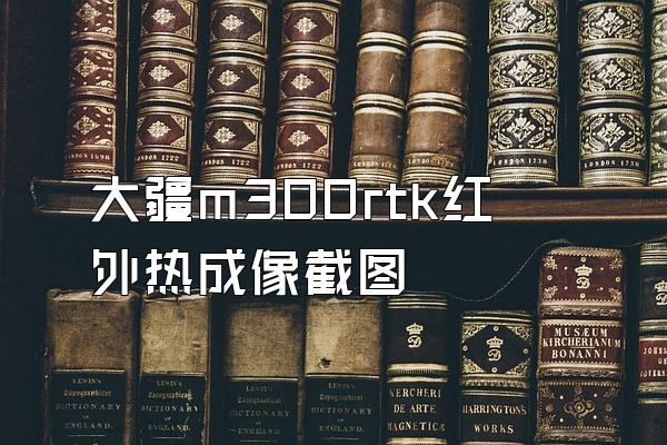 大疆m300rtk红外热成像截图