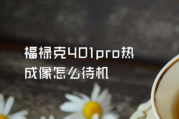 福禄克401pro热成像怎么待机