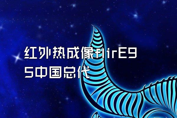 红外热成像flirE95中国总代