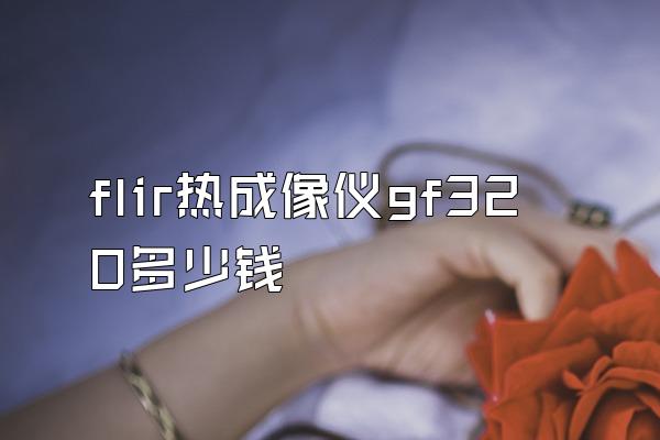 flir热成像仪gf320多少钱