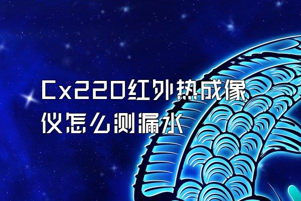 Cx220红外热成像仪怎么测漏水