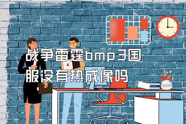 战争雷霆bmp3国服没有热成像吗