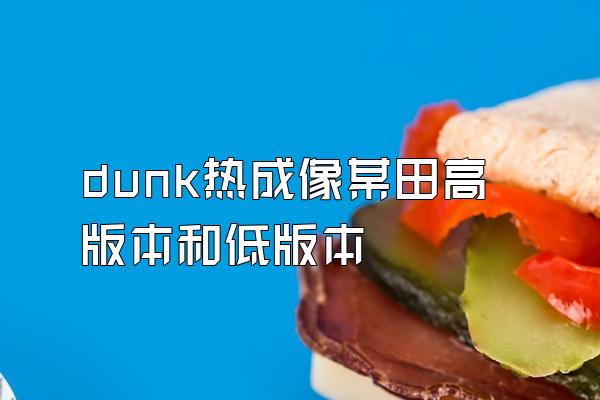 dunk热成像某田高版本和低版本