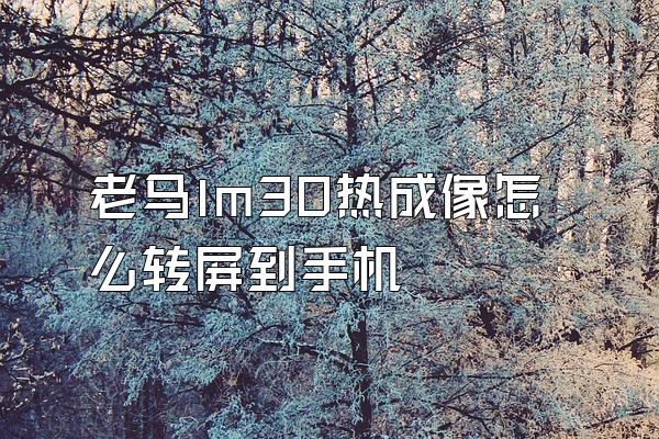 老马lm30热成像怎么转屏到手机