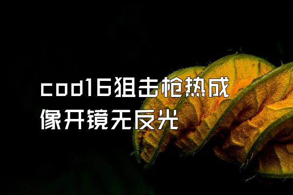 cod16狙击枪热成像开镜无反光