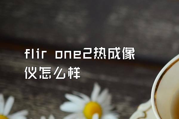 flir one2热成像仪怎么样