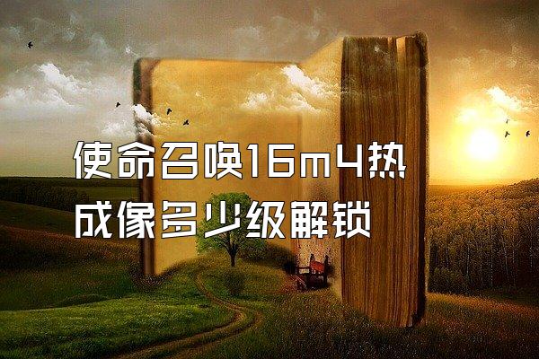 使命召唤16m4热成像多少级解锁