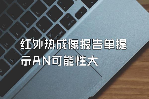 红外热成像报告单提示AN可能性大