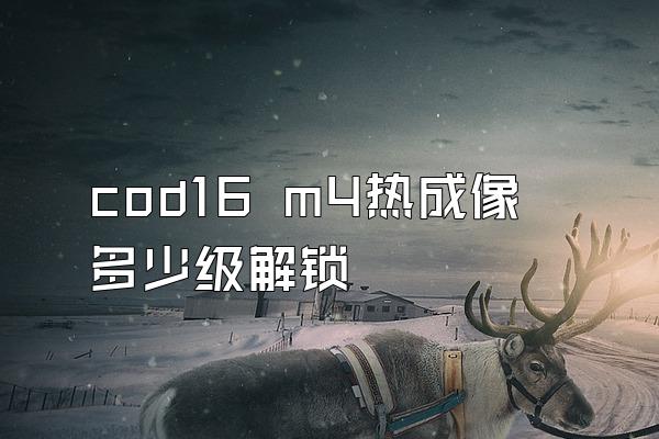 cod16 m4热成像多少级解锁