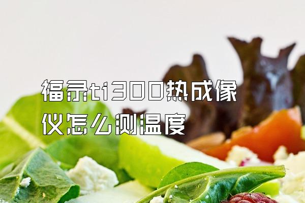 福录ti300热成像仪怎么测温度