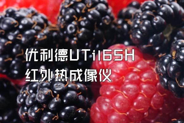 优利德UTil65H红外热成像仪