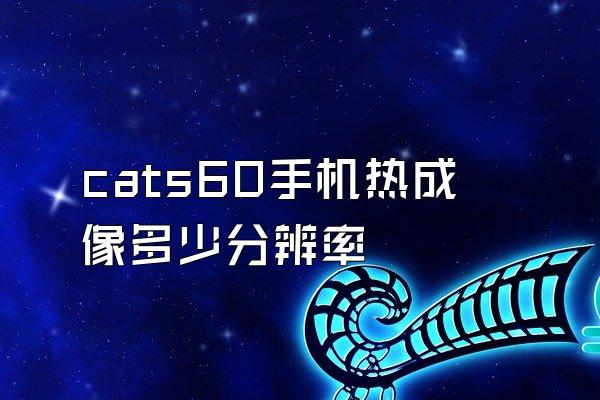 cats60手机热成像多少分辨率