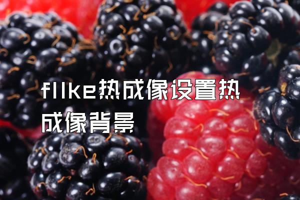 fllke热成像设置热成像背景