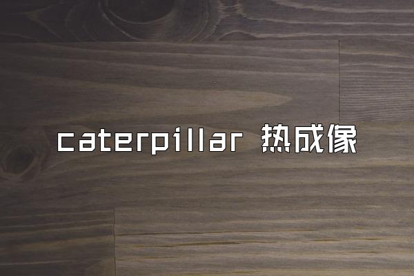 caterpillar 热成像