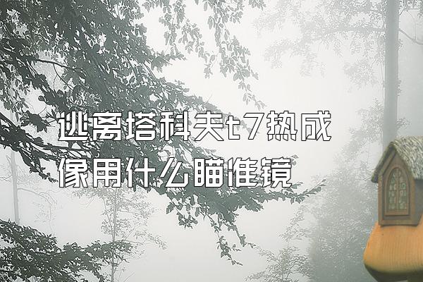 逃离塔科夫t7热成像用什么瞄准镜