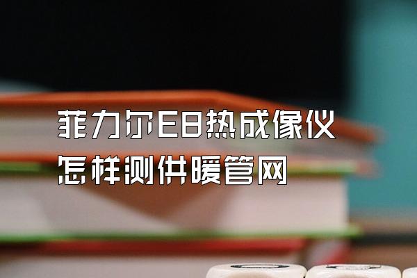 菲力尔E8热成像仪怎样测供暖管网