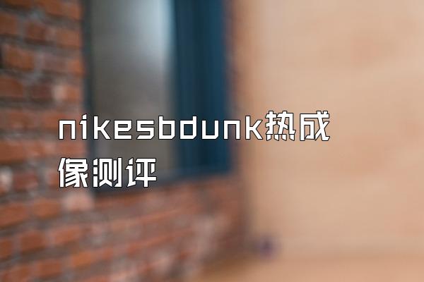 nikesbdunk热成像测评