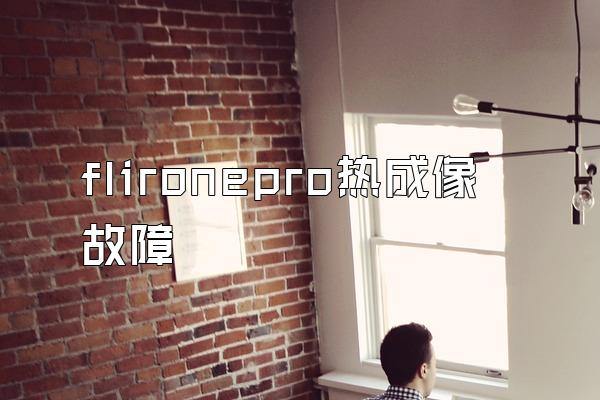 flironepro热成像故障