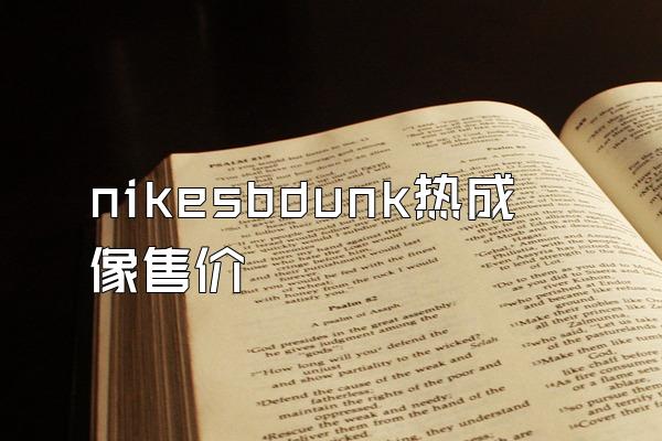 nikesbdunk热成像售价