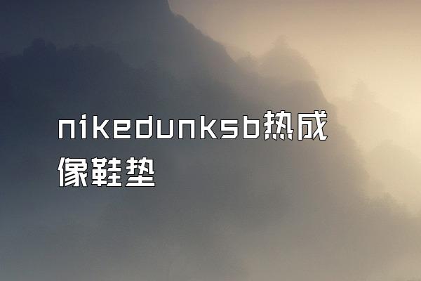 nikedunksb热成像鞋垫