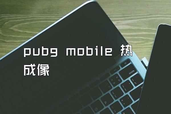 pubg mobile 热成像