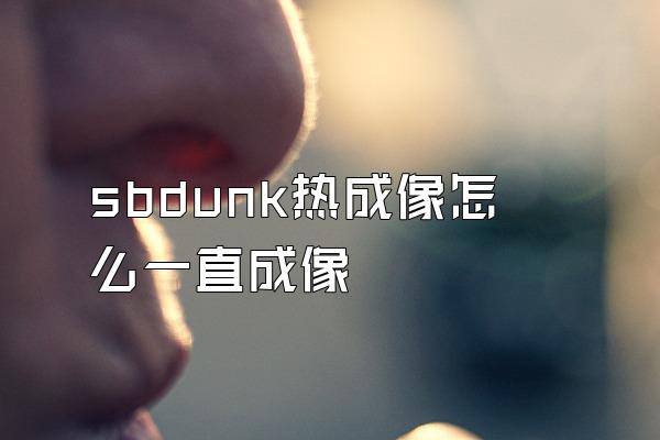 sbdunk热成像怎么一直成像