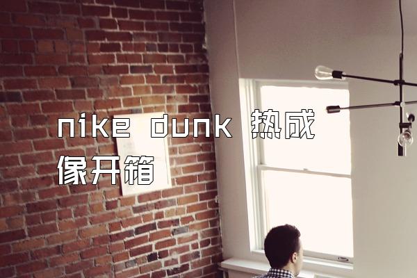 nike dunk 热成像开箱