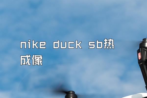 nike duck sb热成像