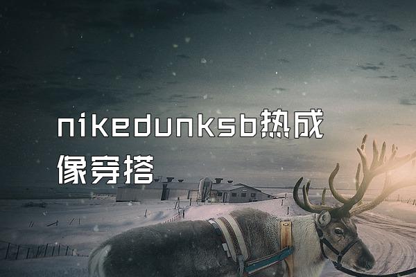 nikedunksb热成像穿搭