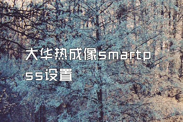 大华热成像smartpss设置