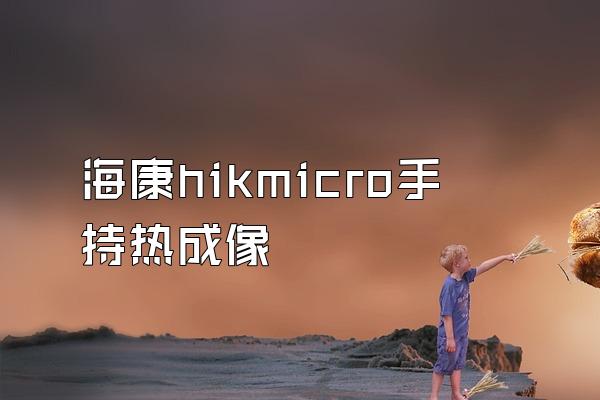 海康hikmicro手持热成像