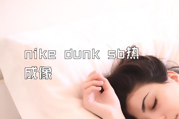 nike dunk sb热成像