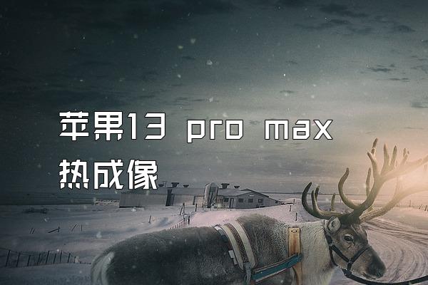 苹果13 pro max热成像