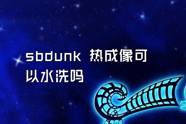 sbdunk 热成像可以水洗吗