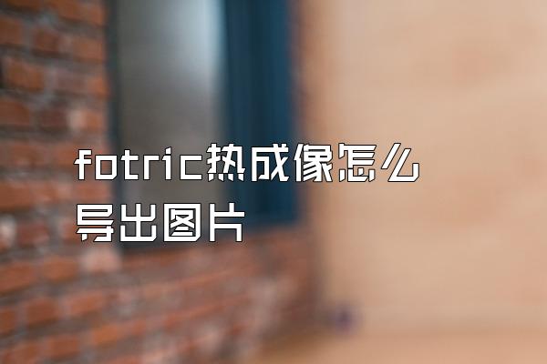 fotric热成像怎么导出图片