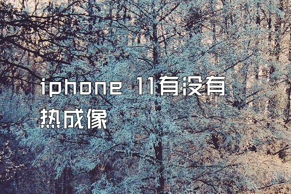 iphone 11有没有热成像