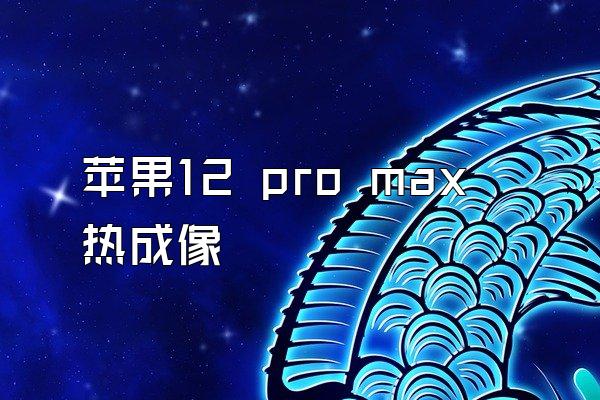 苹果12 pro max热成像