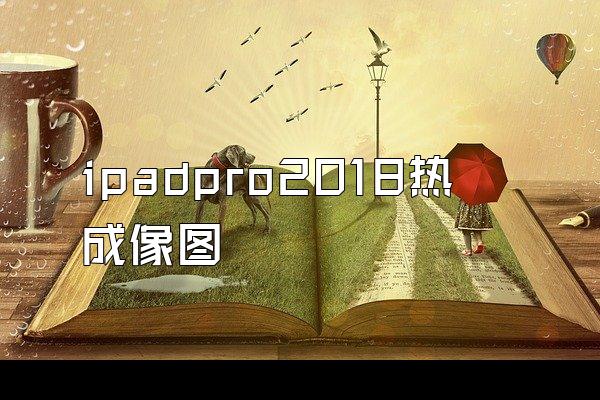 ipadpro2018热成像图