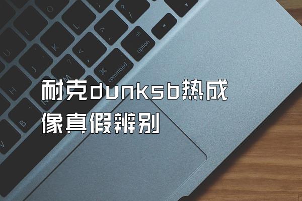 耐克dunksb热成像真假辨别