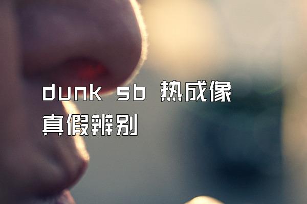 dunk sb 热成像真假辨别