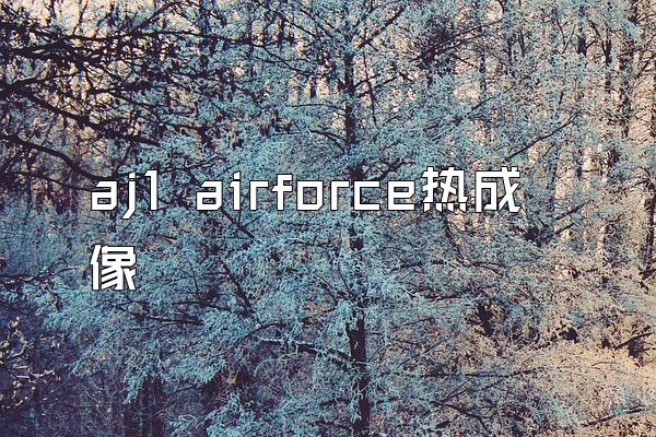 aj1 airforce热成像