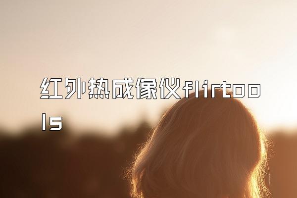 红外热成像仪flirtools