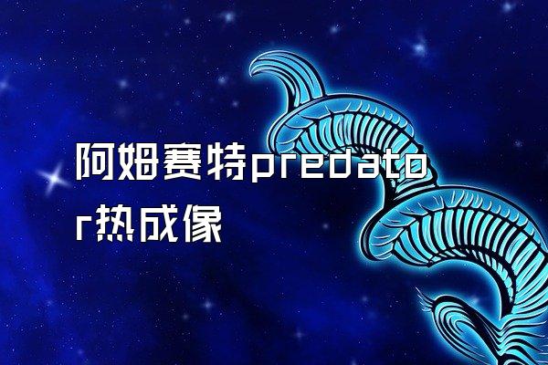 阿姆赛特predator热成像