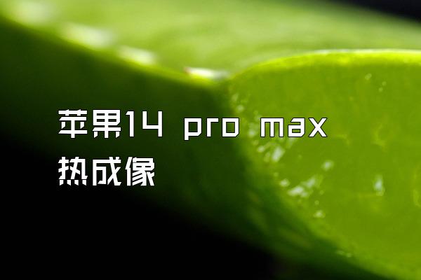 苹果14 pro max热成像