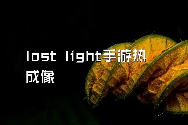 lost light手游热成像