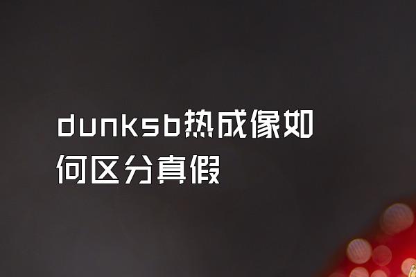 dunksb热成像如何区分真假