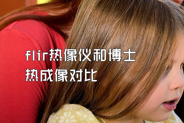 flir热像仪和博士热成像对比