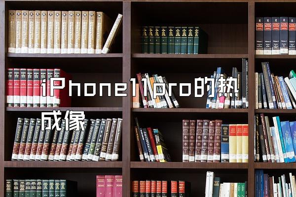 iPhone11pro的热成像