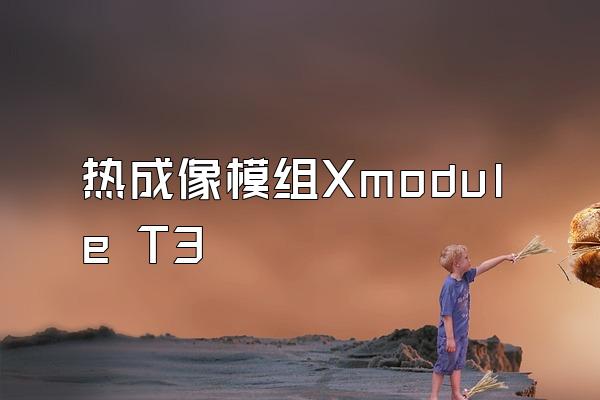 热成像模组Xmodule T3